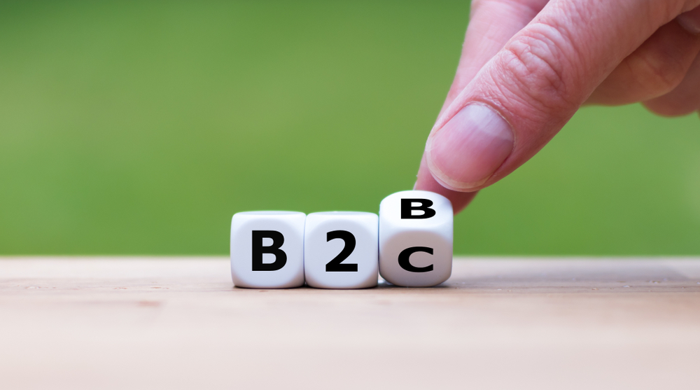 dice spelling b2b and b2c