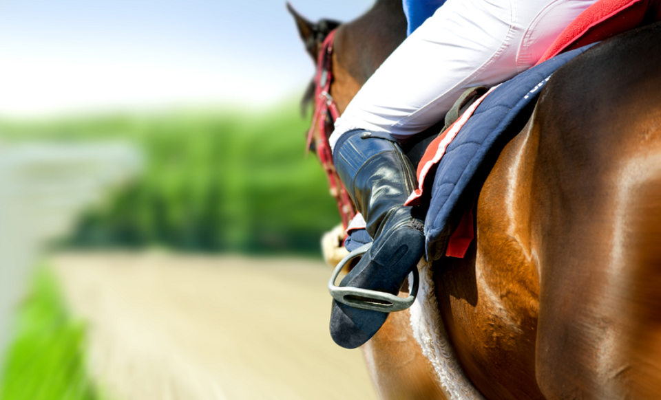 horse coming first on hippodrome racetrack