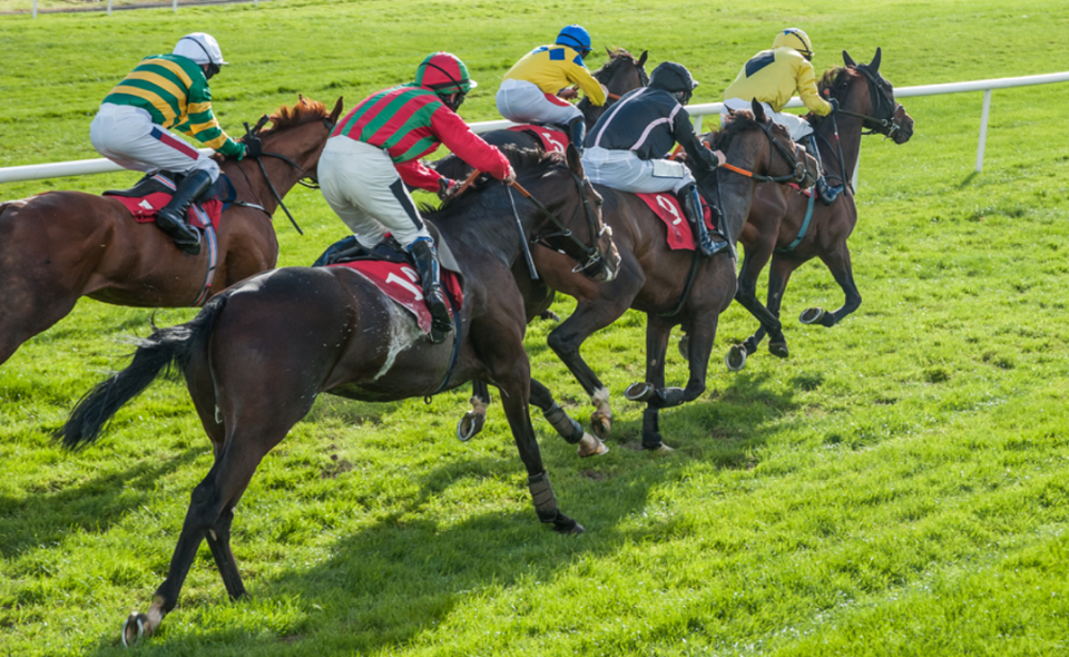 horses sprinting to the finish line