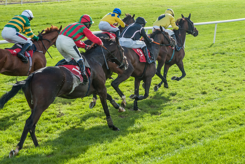 grass track horse race