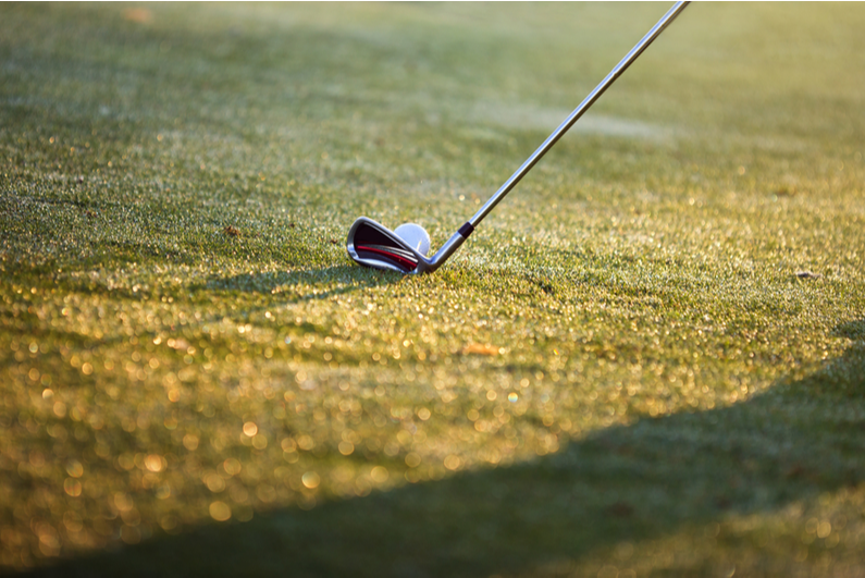 golf ball on grass just before being hit